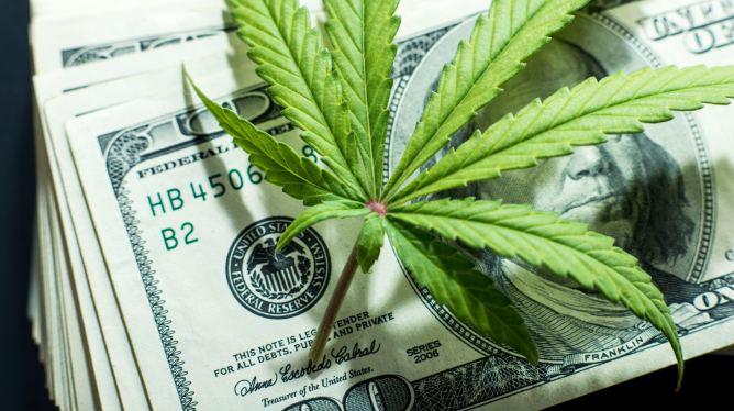 7 Ways to Make Your Cannabis Retail Business More Profitable
