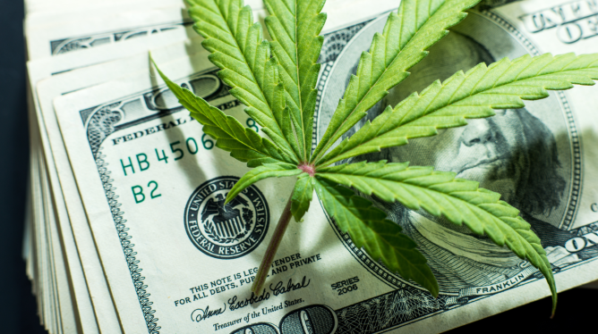 Cannabis Profits