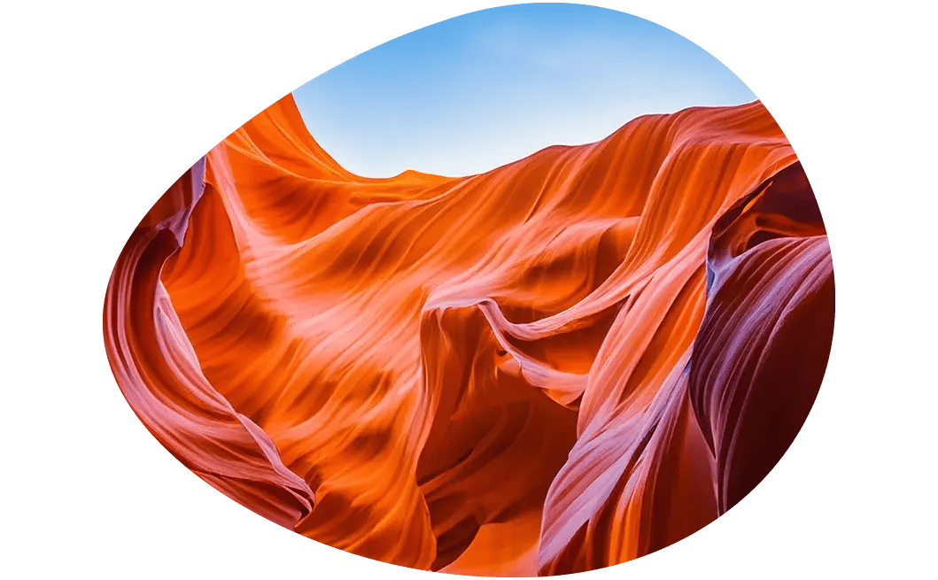 Cova-Arizona-market