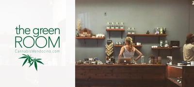 the-green-room-case-study The Green Room Case Study