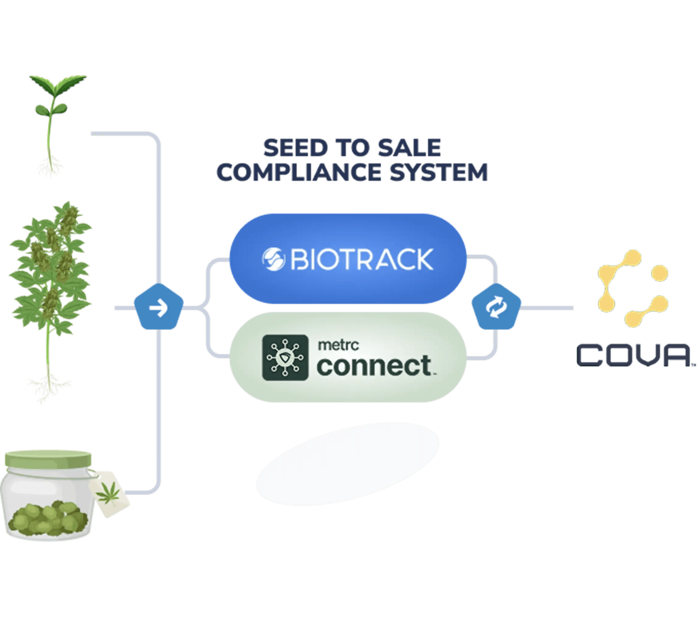 Seed-to-Sale
