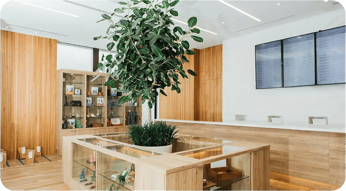 Cova-Dispensary-Design