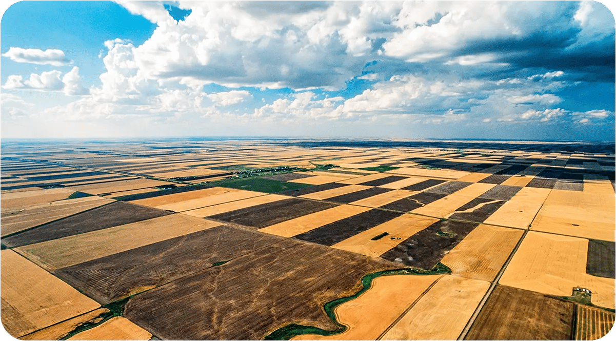 Saskatchewan-Law