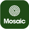 Mosaic