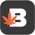 budvue