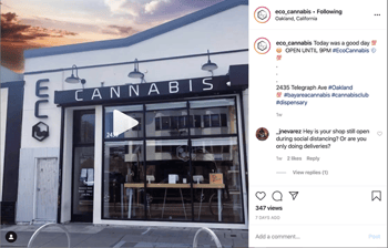 ECO Cannabis on Instagram