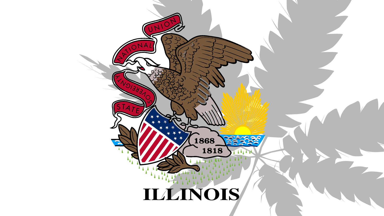 Illinois Social Equity Cannabis Lottery