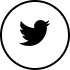 social-twitter-1