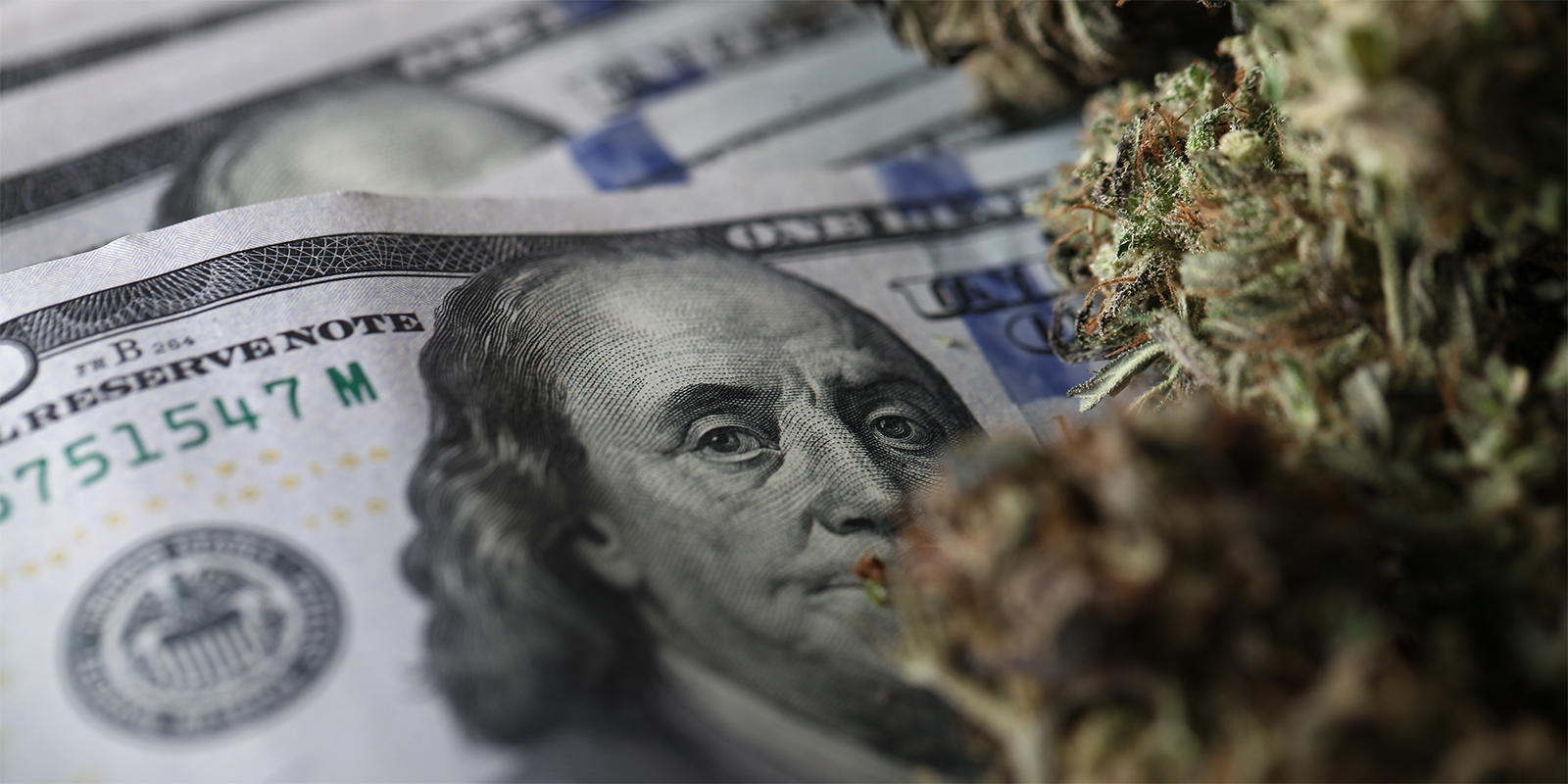 How Much Americans Are Spending on Cannabis in 2020