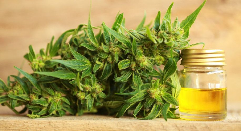 4 Things Your Customers Should Know About CBD