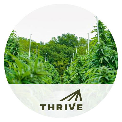 Thrive-Cannabis