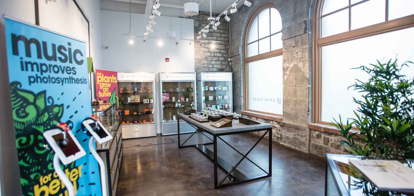 Designing Your Cannabis Dispensary Guide