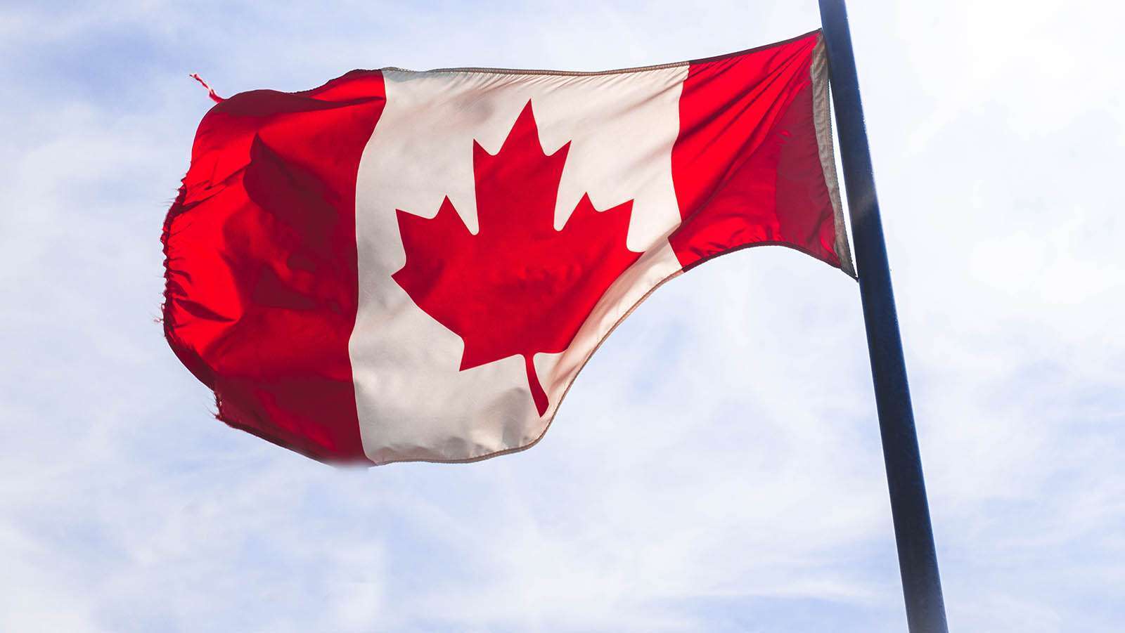 <span id="hs_cos_wrapper_name" class="hs_cos_wrapper hs_cos_wrapper_meta_field hs_cos_wrapper_type_text" style="" data-hs-cos-general-type="meta_field" data-hs-cos-type="text" >Canadian Cannabis Retail Benchmarks After One Year of Sales</span>