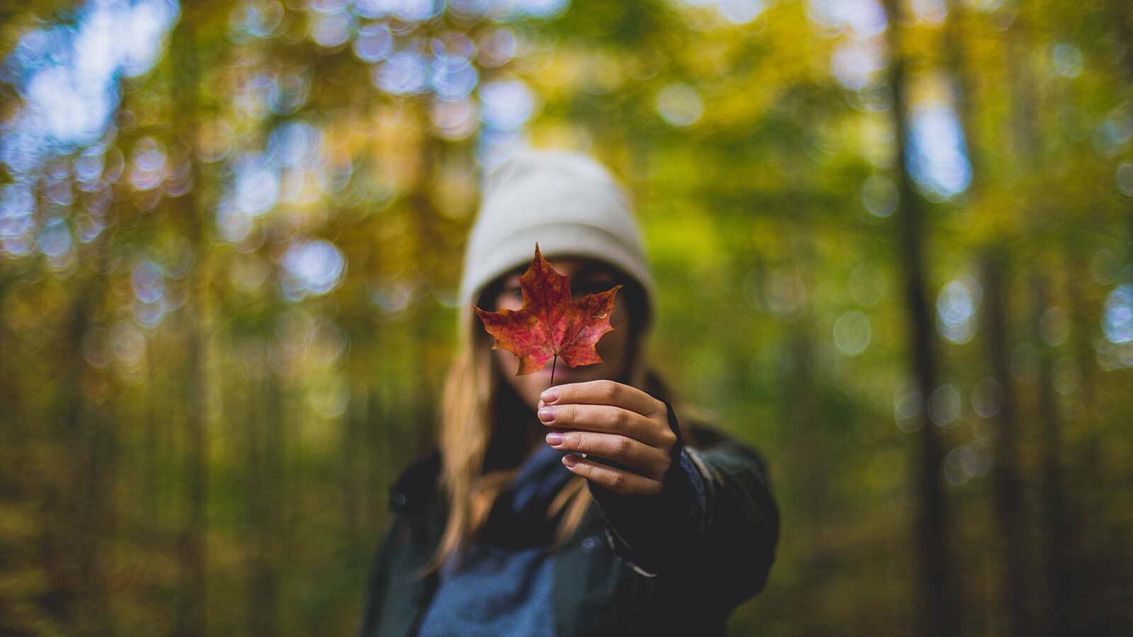 <span id="hs_cos_wrapper_name" class="hs_cos_wrapper hs_cos_wrapper_meta_field hs_cos_wrapper_type_text" style="" data-hs-cos-general-type="meta_field" data-hs-cos-type="text" >Cannabis Recall Procedures in Canada</span>