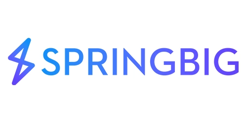 Springbig_2