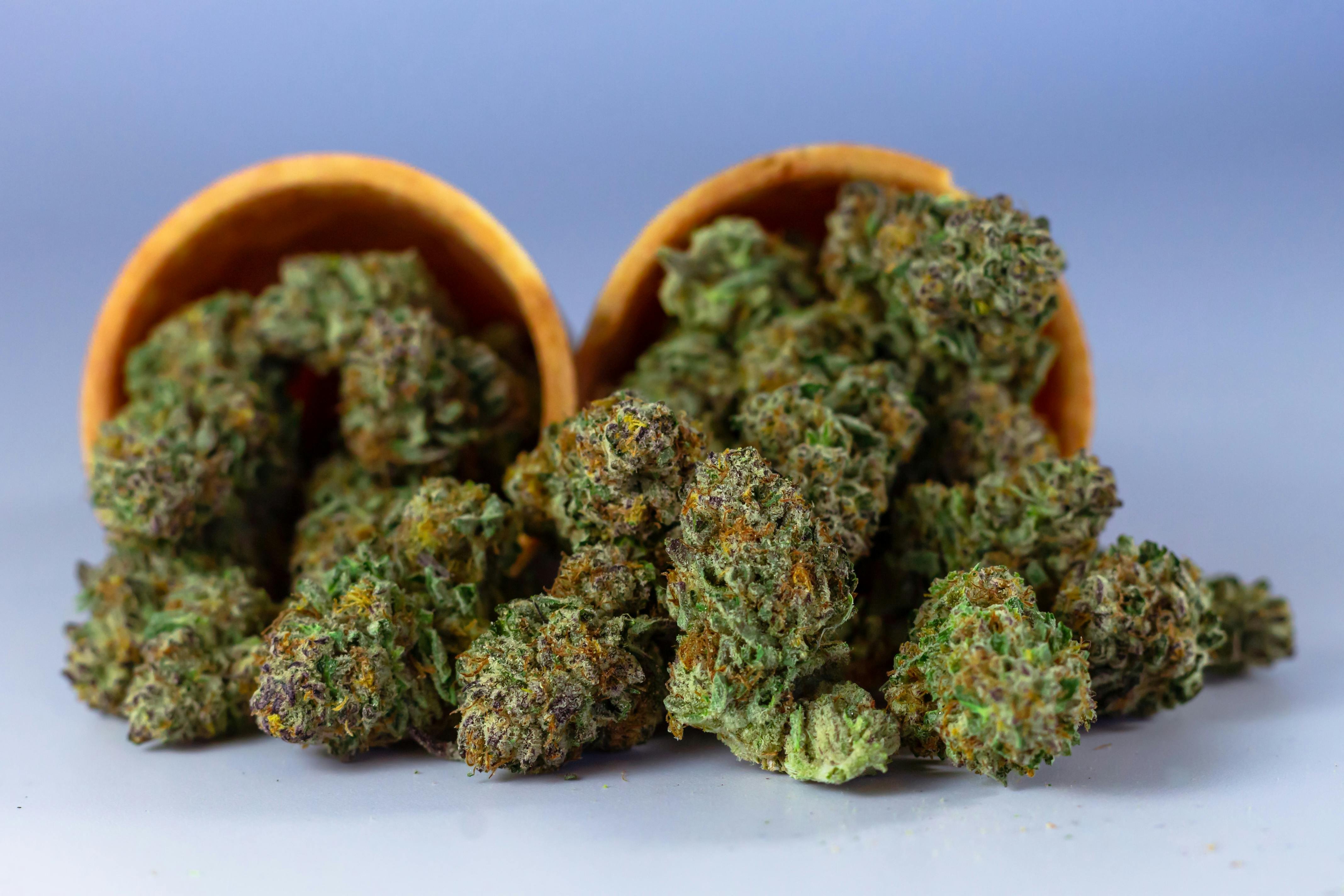 Cannabis buds in wooden bowls display