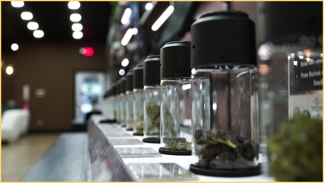 Cannabis dispensary jars on display shelf
