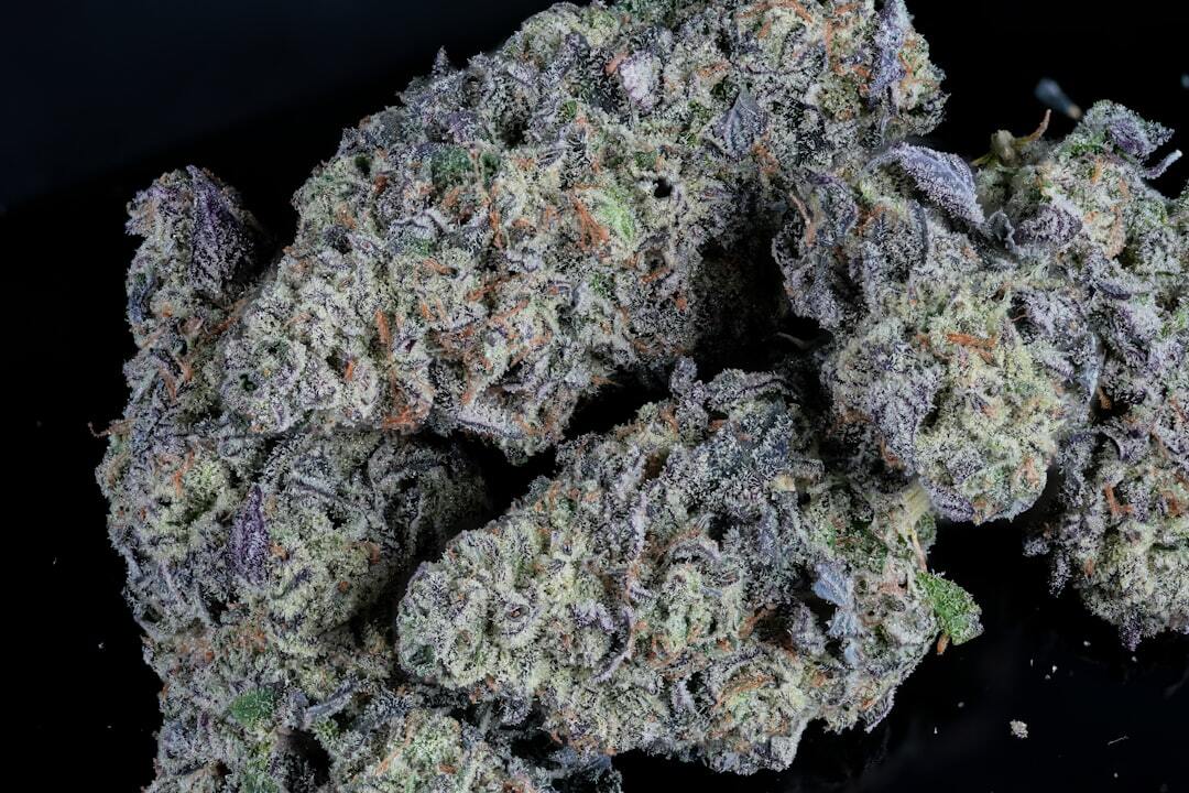 Close-up of frosty cannabis buds