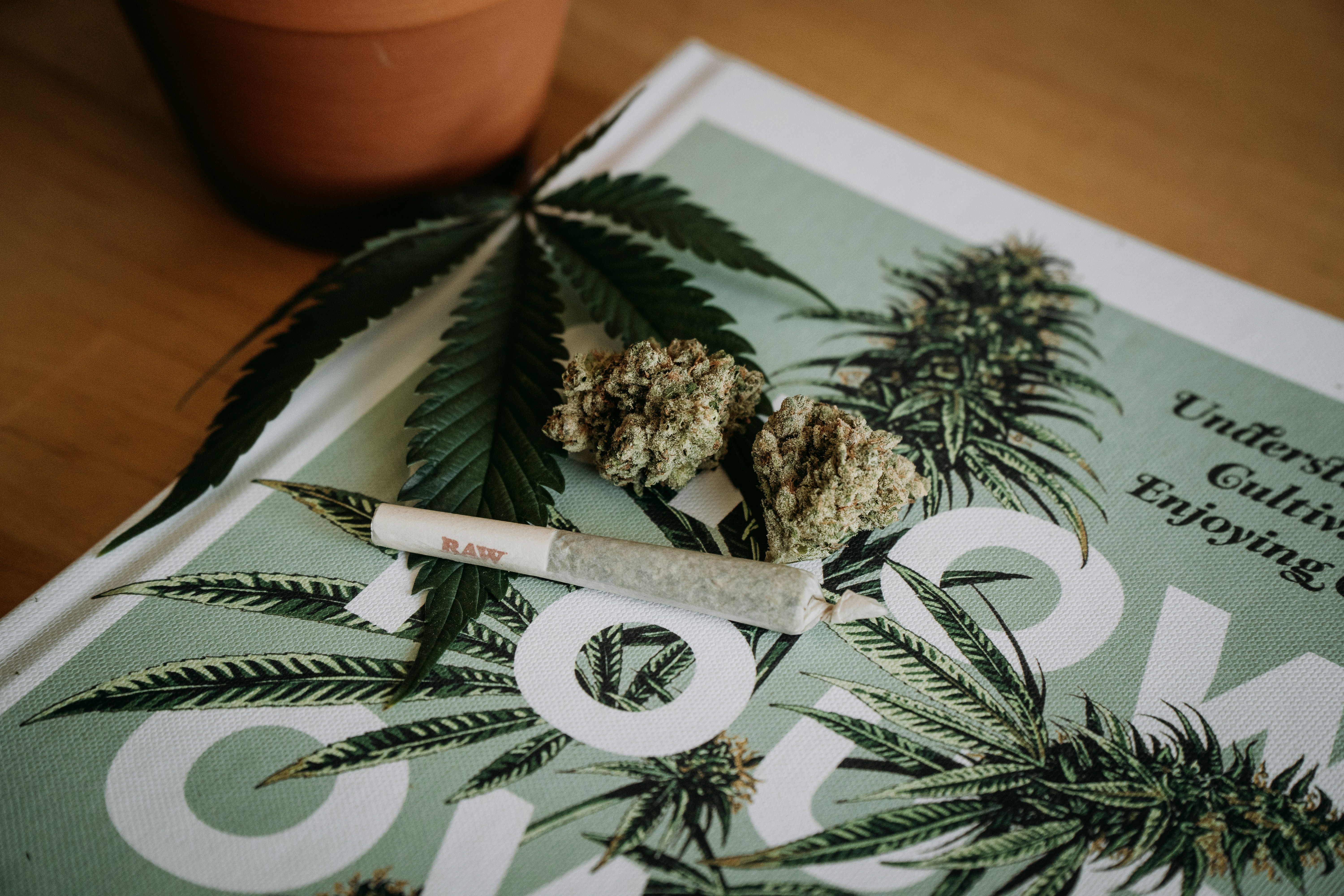 flower and pre roll on canna magazine